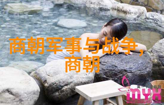 中原大地的辉煌探索元朝的历史与文化遗产