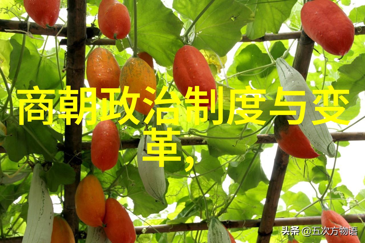 唐朝的辉煌在当时世界的位置与影响力探究