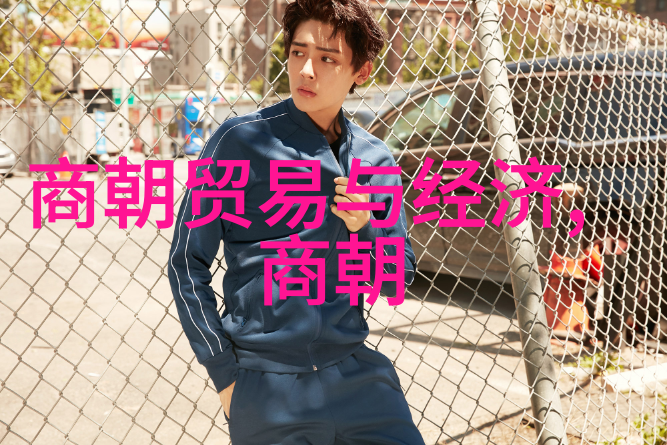 唐朝的历史书籍探秘古代文明的记忆者