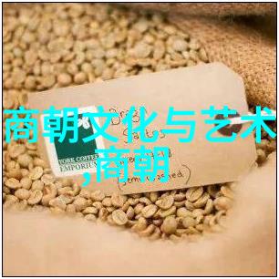 探索姜可小说世界奇幻与现实的交响