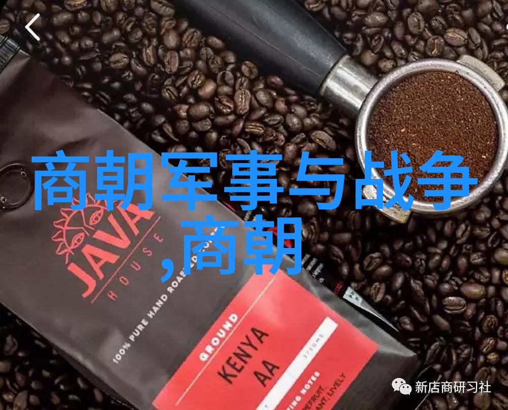 冲喜小傻妃-宫廷欢乐冲喜小傻妃的欢笑人生