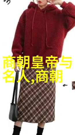 明朝最牛的-龙凤呈祥揭秘明朝最耀眼的星光