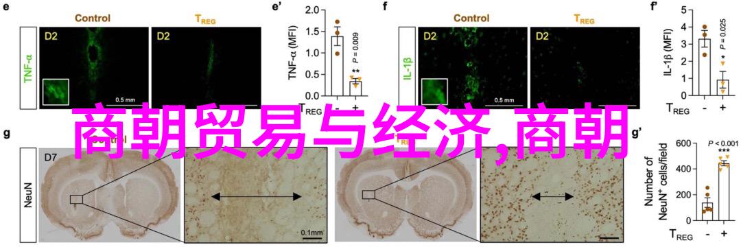 许欣豫剧导演工作者曲剧大全播放人物