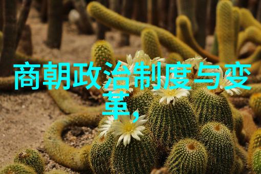 明朝风华剖析明朝电视剧中的历史与艺术