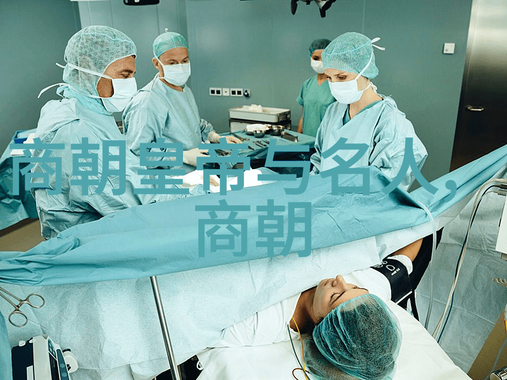 秀水一役是怎样结束的一场海战对后来的海上力量均衡产生了深远影响吗