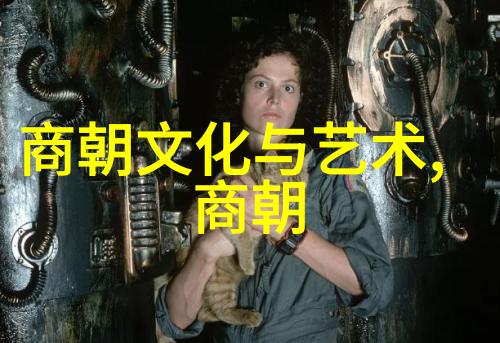 大明王朝历史大明王朝的辉煌与衰落