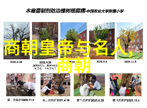 明朝怪谈录揭秘龙飞凤舞的奇异风云