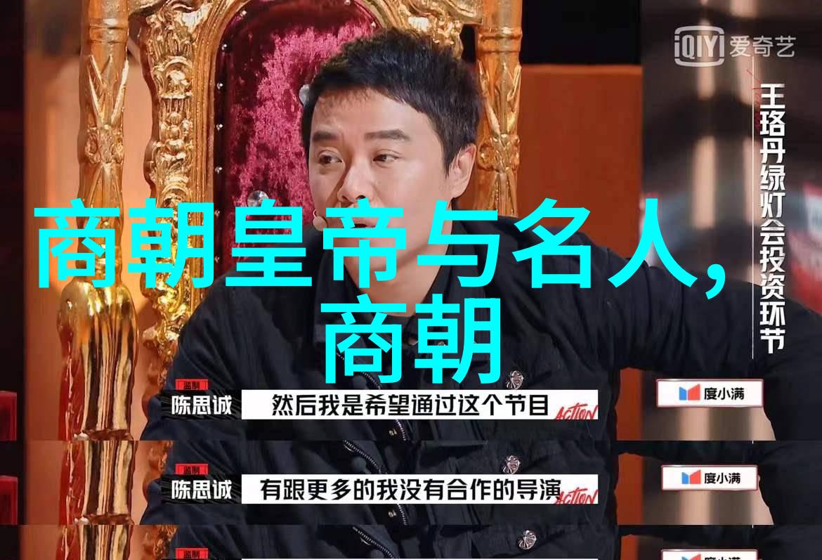 为什么在中文史书中某些皇帝被特意排除解析中国历史上排列顺序变迁