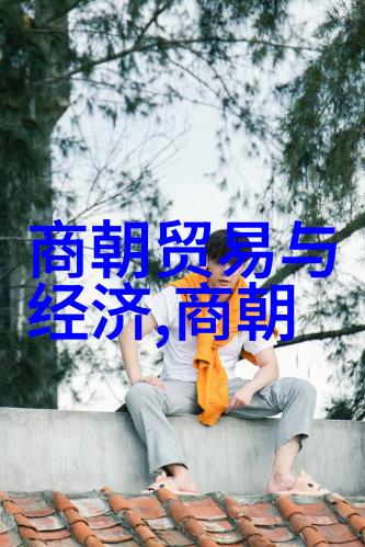 黄梅戏全集中的赵媛媛演技如诗如画