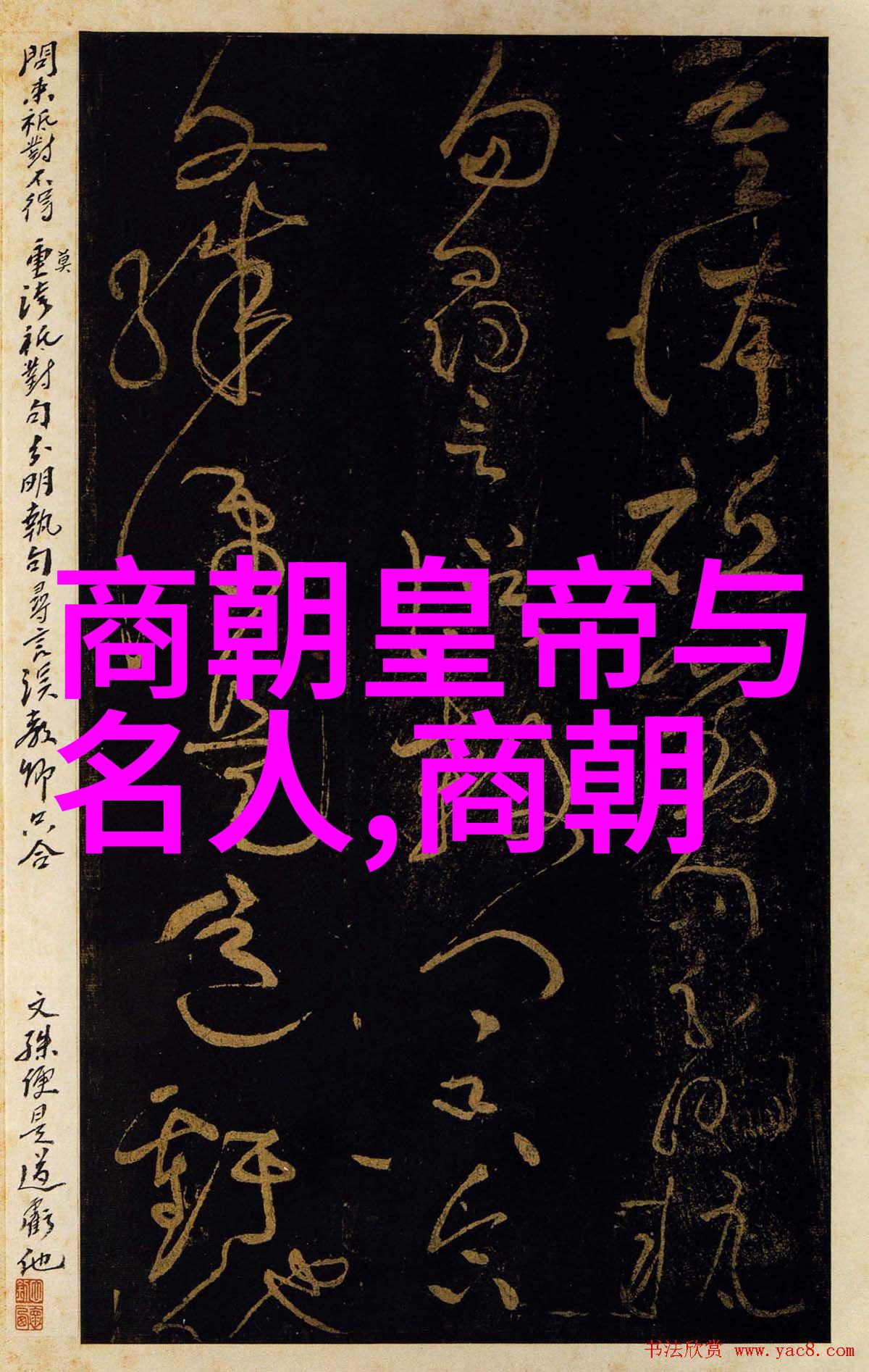 名人野史趣闻录揭秘历史巨星背后的不为人知