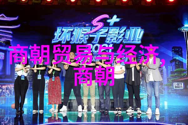 宋朝的建立与兴衰背后有哪些关键历史因素