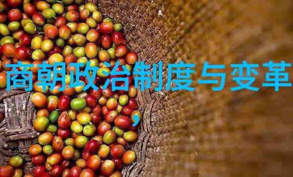明朝灭亡后谁当了-清兵入关后的权力转移努尔哈赤多尔袭及康熙帝的崛起