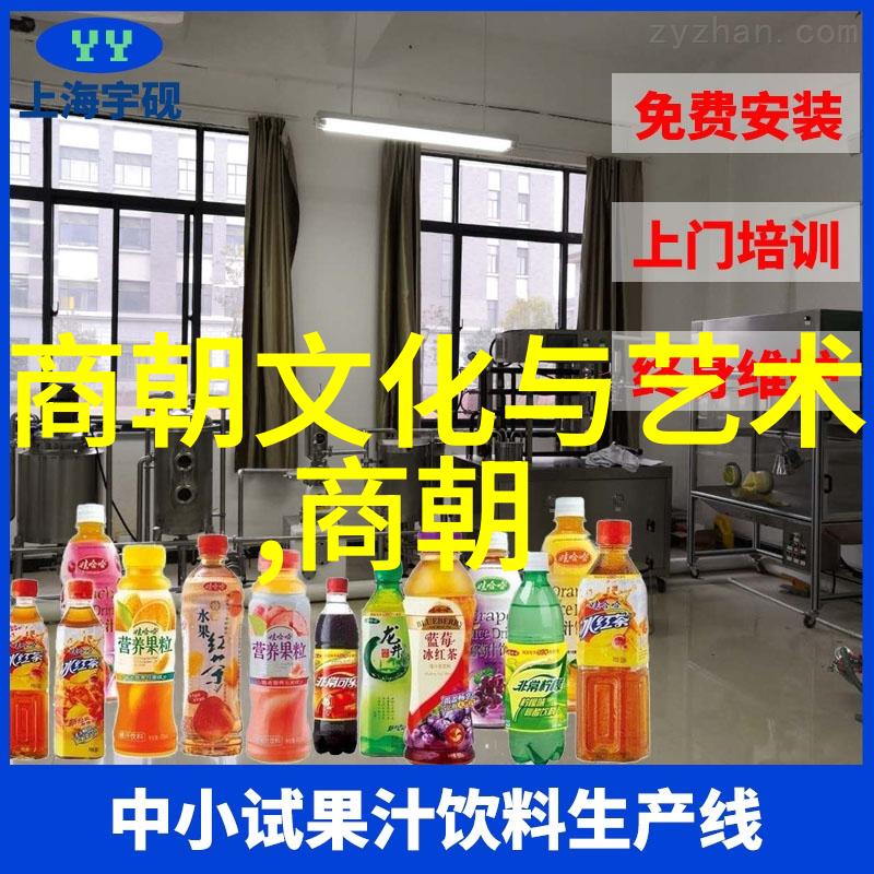 宋代风华文化繁荣与政治稳定的辉煌时代