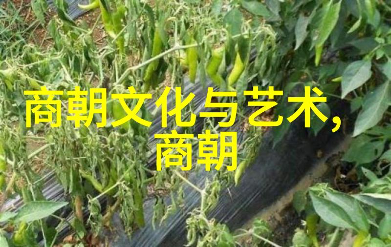 明朝帝王谱历代皇帝年龄序列探究