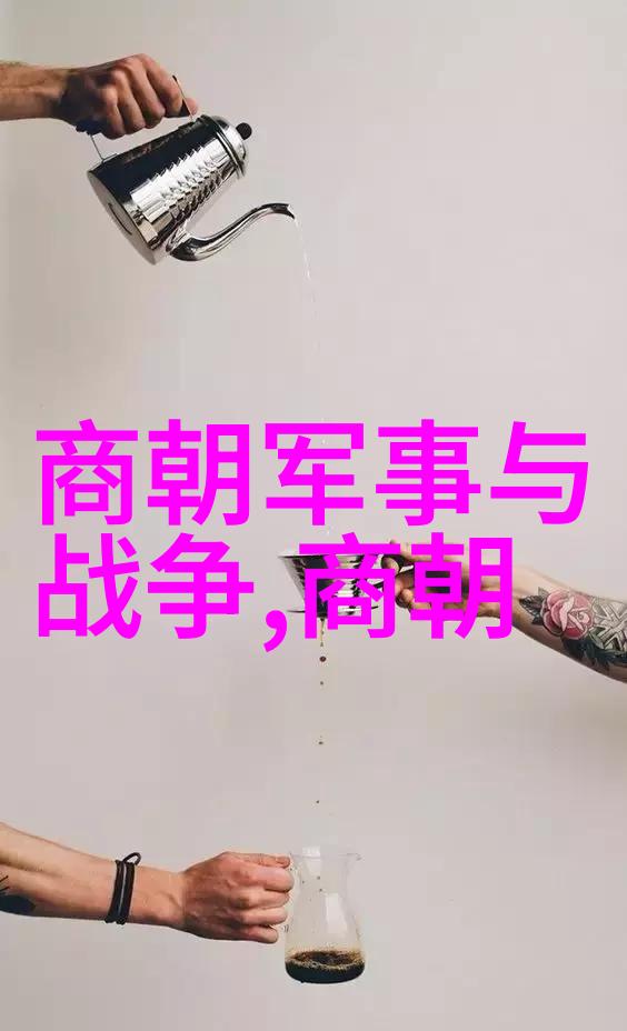 明朝16位皇帝的辉煌与衰落一段历史的脉络