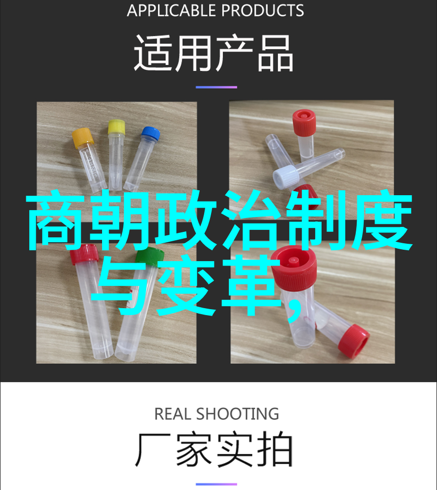 未曾说出的未曾听到的挖掘深藏在文字间的小说里的秘密