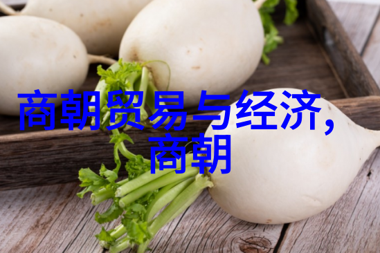 明朝帝王年谱追踪历代君主的生与死