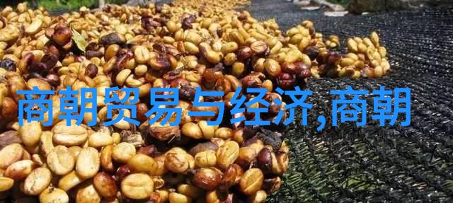 晋朝存在了几年-东汉末年的动荡与西晋的建立