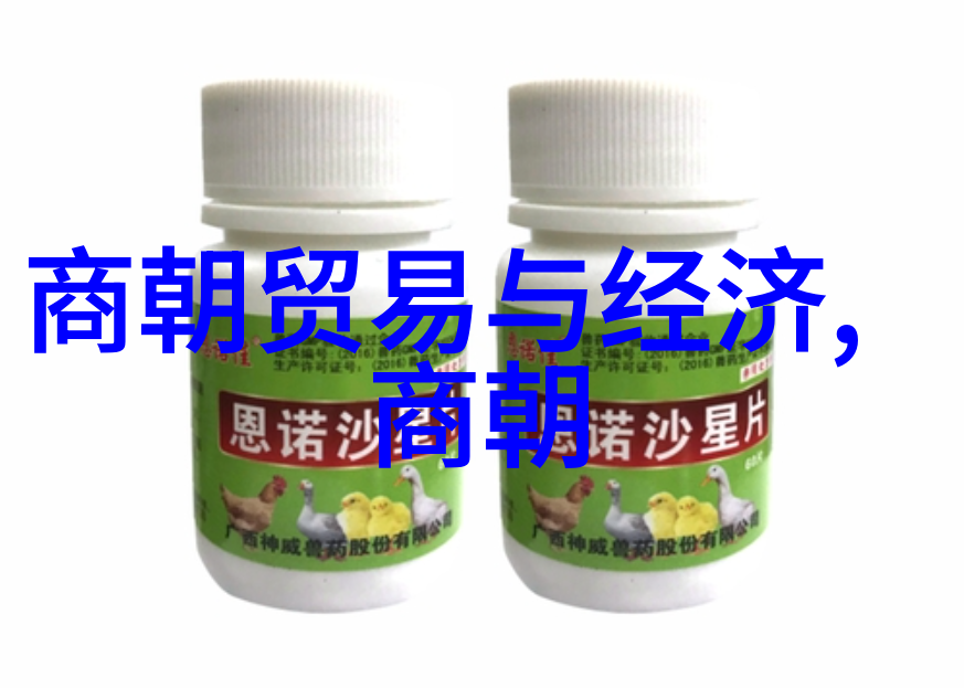 女驸马赵媛媛黄梅戏中的旦行演员她如同一位温婉的女性用她的歌声和舞姿勾勒出一幅幅生动的画面
