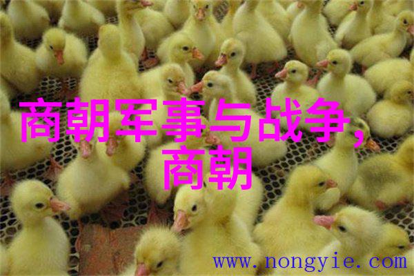 明朝那些事儿全七册txt下载-追忆明朝风云揭秘史料中的奇闻轶事