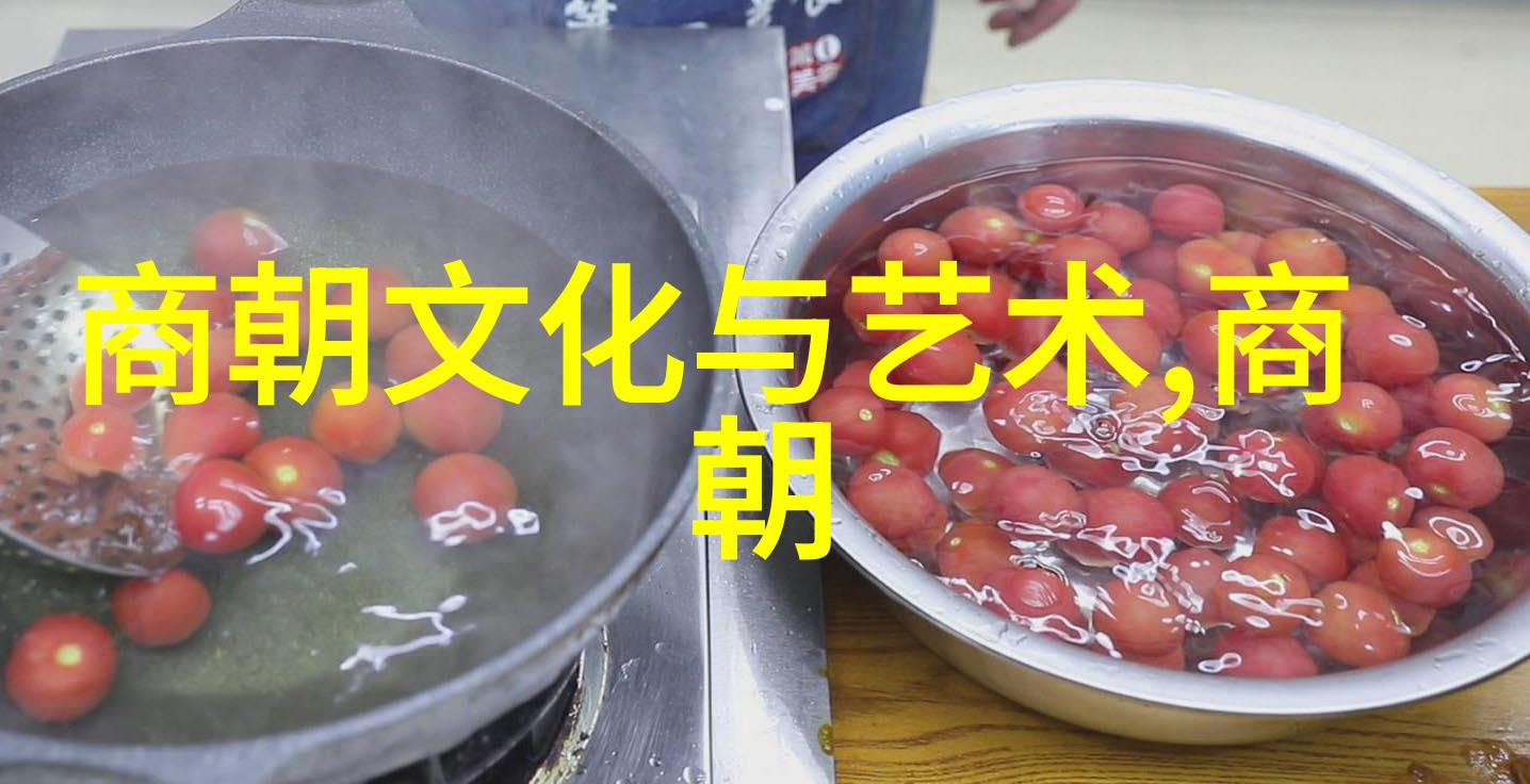 最不应该灭亡的朝代 - 明君遗梦重构历史的轮廓