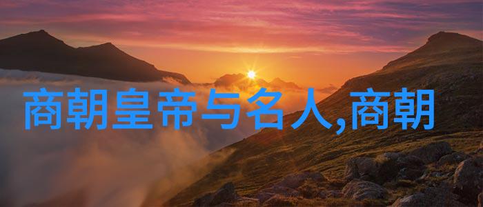 锦衣卫夜访