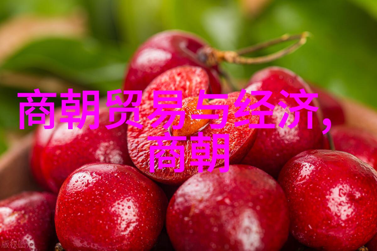 明朝16位皇帝的辉煌与沉浮一代代君主的在位岁月