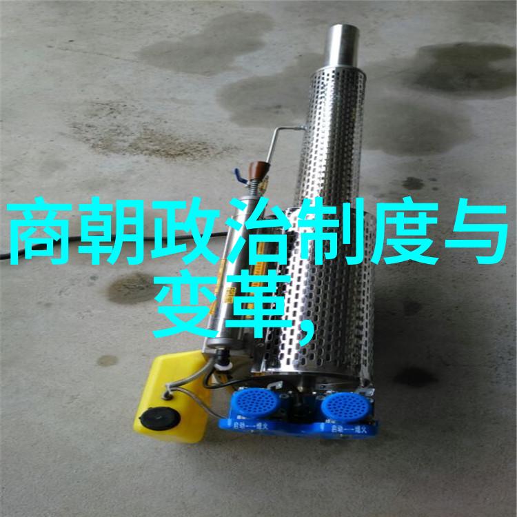朱祁镇杀张太后的历史背景与政治考量明朝宗室权力斗争的悲剧
