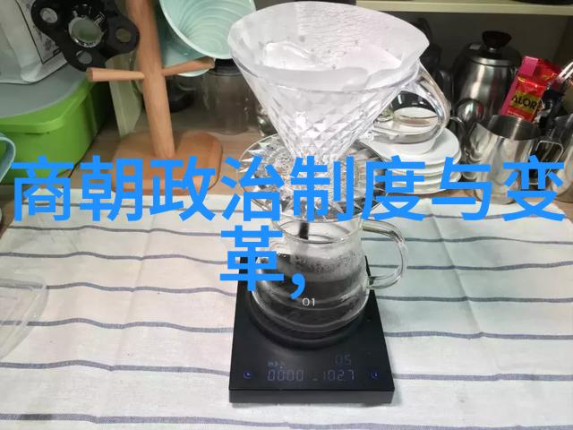 南明朝监国大典揭秘那些位重权的继承人