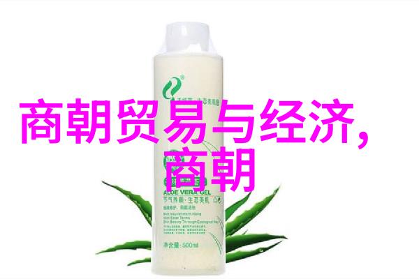 北宋名将兵锋如龙的守卫者