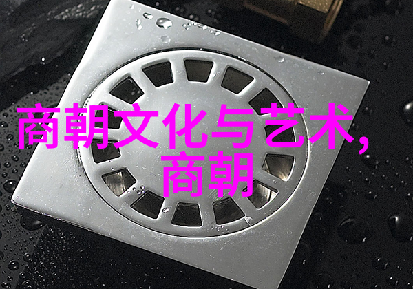 兄长今天变成超级英雄了吗兄长的黑衣正义之举