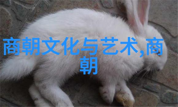 元朝饮食文化之谜如何解开那古老时期的餐桌秘密
