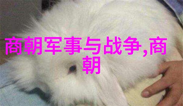 揭秘中国古代文明秦朝的统一与遗产