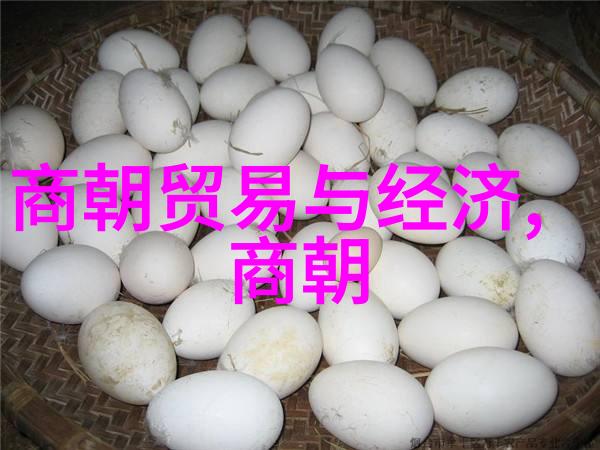 北宋灭亡的悲剧序幕