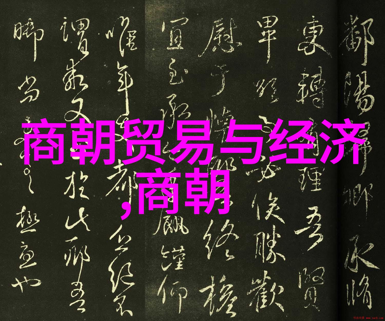 王梦君西晋地图