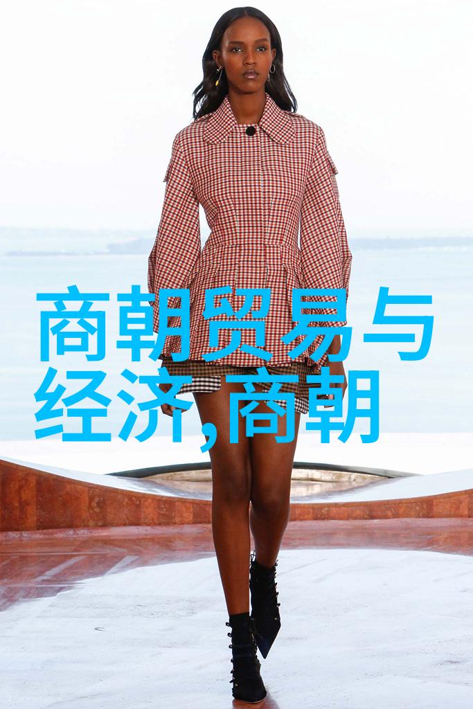 宋朝对外扩张政策导致了内忧外患吗