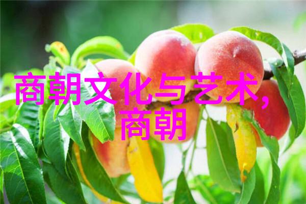 明朝那些事儿全集有声小说穿越时空的故事会我怎么成了明朝的听众