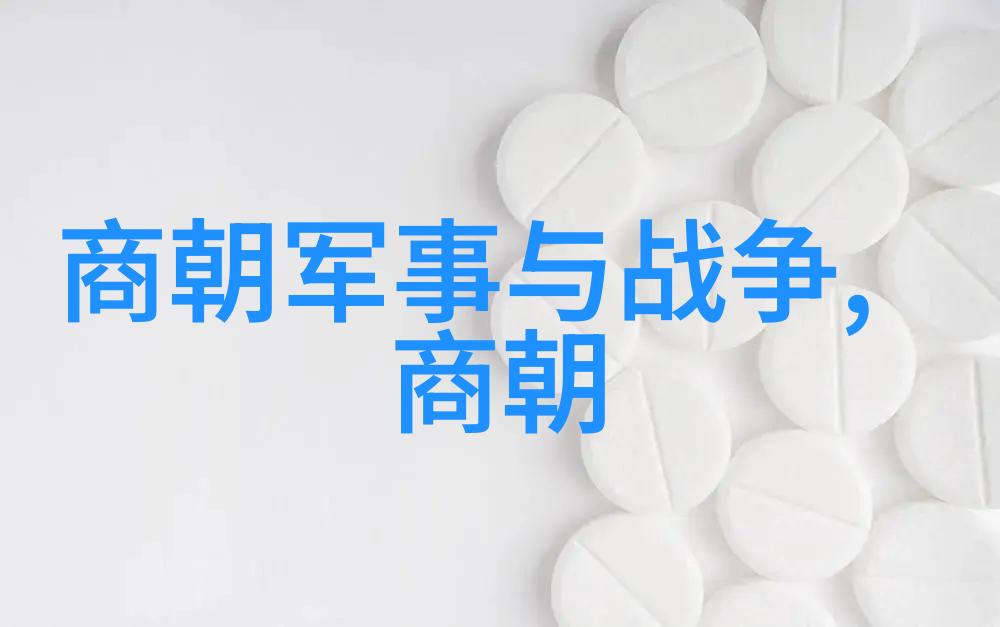 母亲与儿子的补偿之旅一个温馨的游戏安装故事