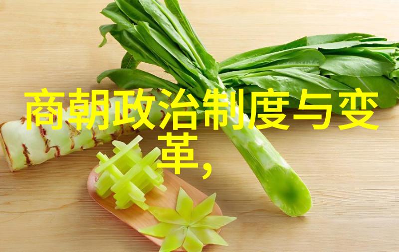 辉煌的中原元朝的兴衰与文化盛世