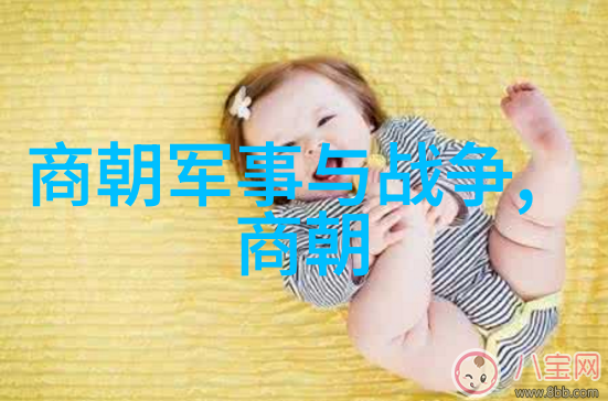 明朝战船舰队技术是否优于清朝