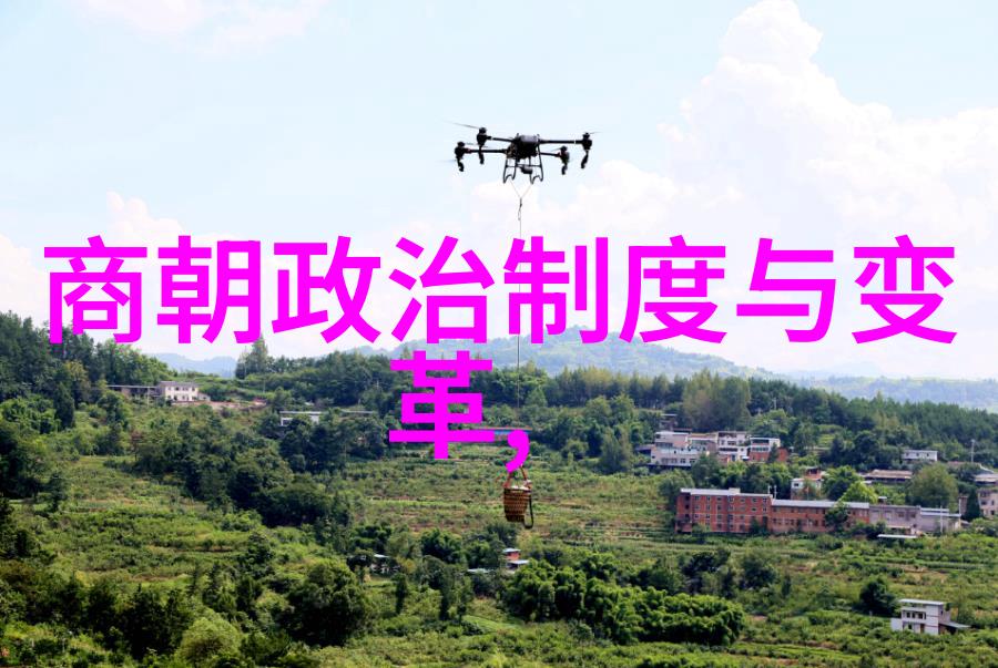 历史上的两宋文献与遗存的对比考察