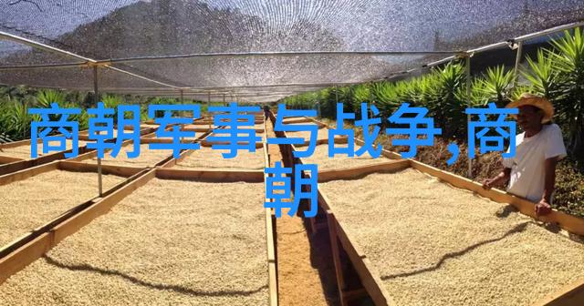 从红衣僧到宁宗解读明代皇帝画像艺术演变