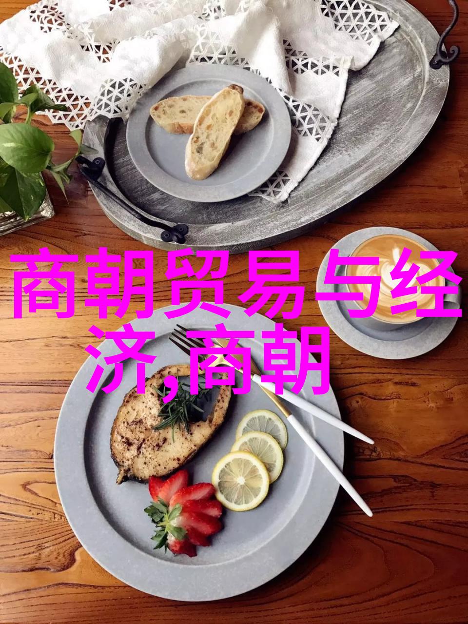 明朝历史看什么书最好-揭秘明朝风云史料考证与学术探索