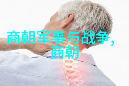 宋明帝的智慧如同习云泰覆盖了天地间的一切
