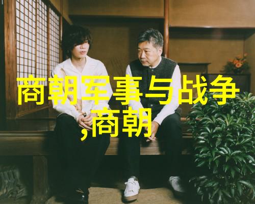宋朝人物中的张定边犹如千年江山的璀璨明珠