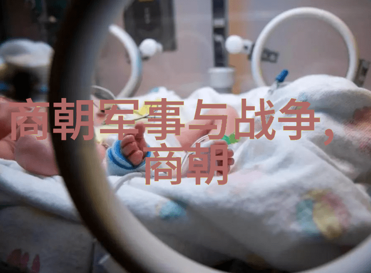 明朝那些事儿下载揭秘历史奇缘的数字传承