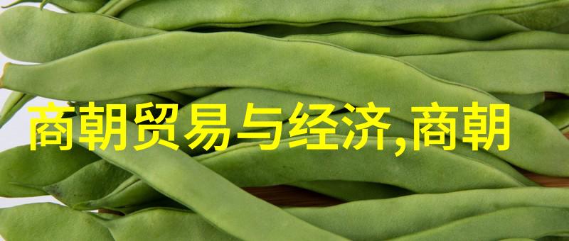 明朝的盛世 - 明光辉文化繁荣与经济兴旺的奇迹