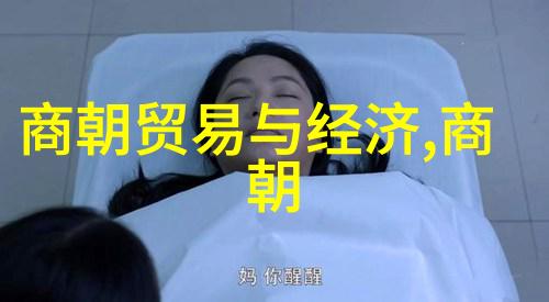 朝廷秘密与巫师之谜