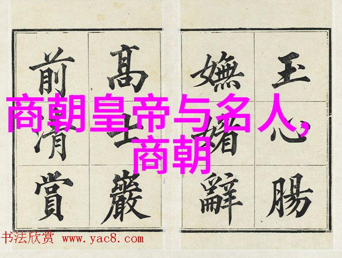 魏学洢国学达人挑战赛中的书香使者