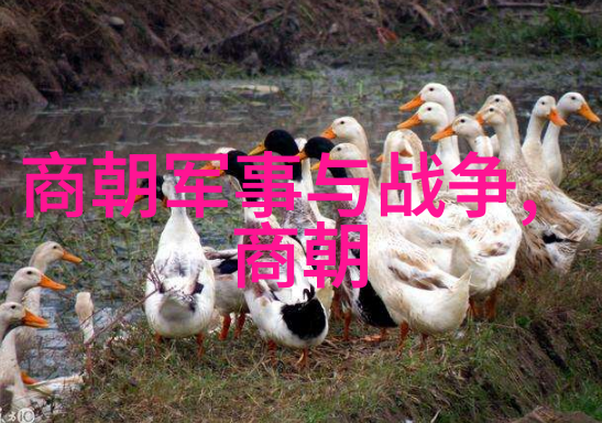 采蜜1V1H方橙采意精准对峙的蜜蜂战争